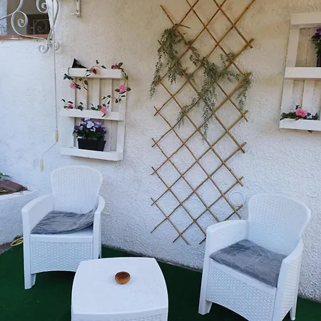 Mimosa * Lido di Pomposa