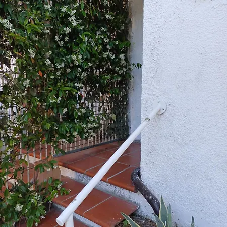 Casa vacanze Mimosa Lido di Pomposa